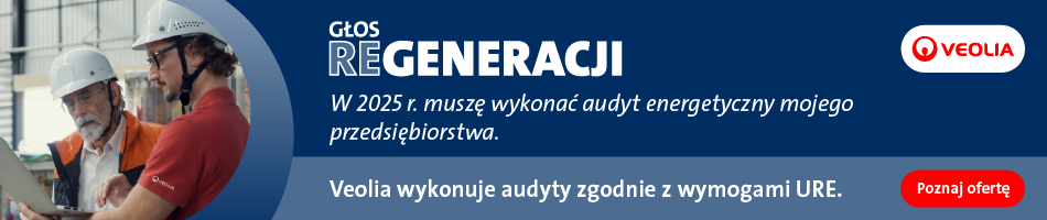 audyt